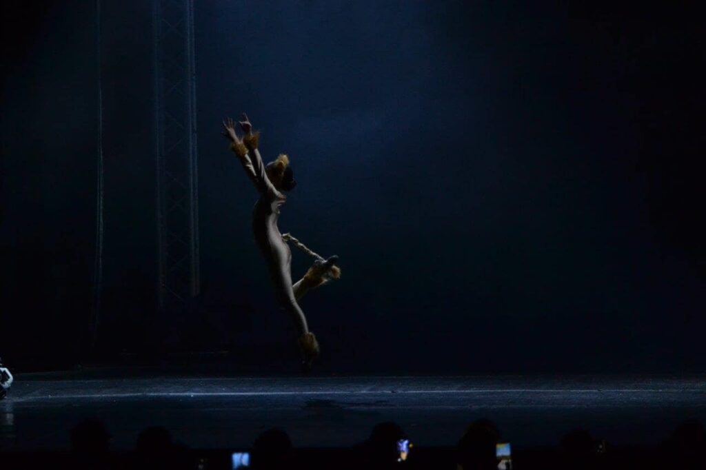 KKDKennerBalletLionKing (8)